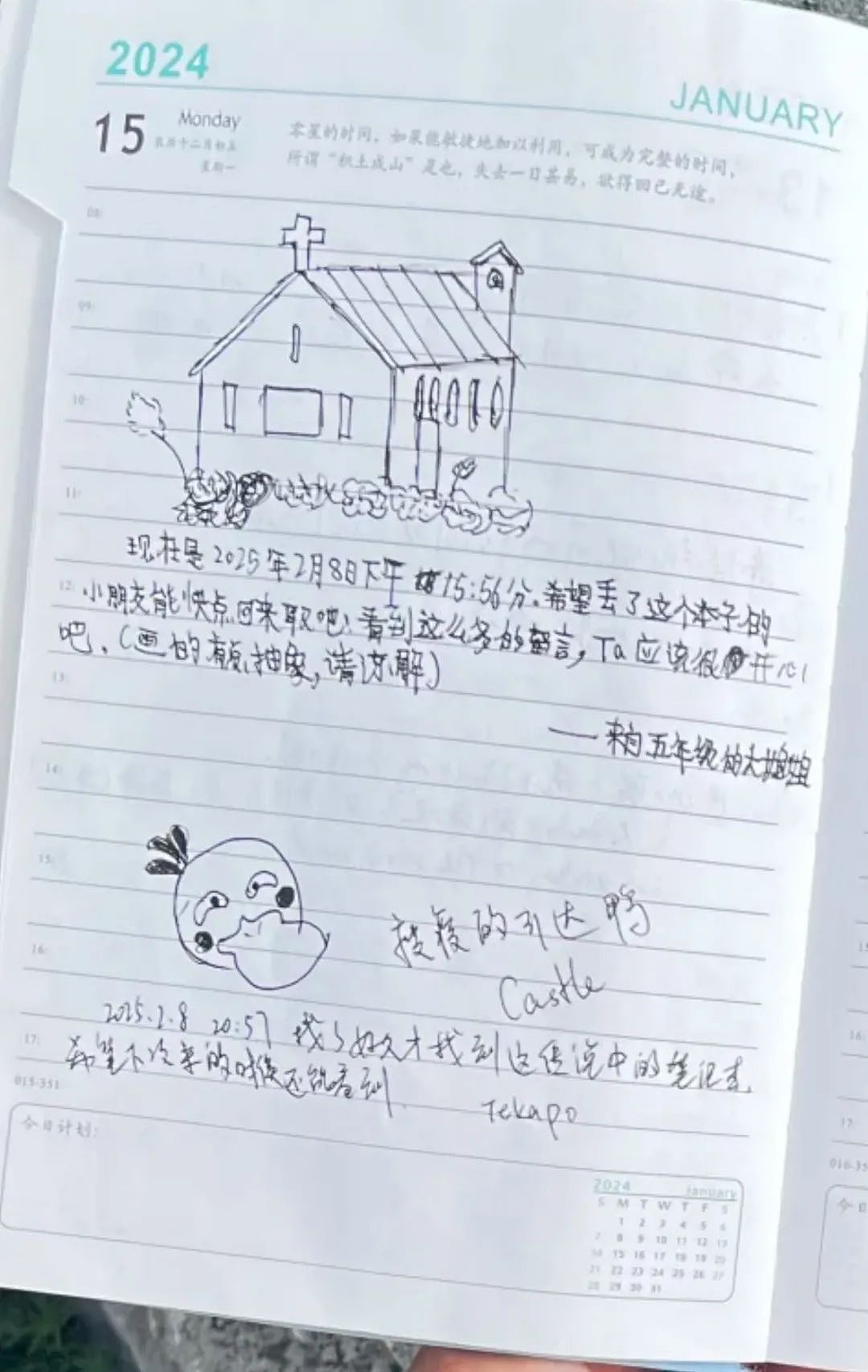 6岁中国女孩在新西兰一个疏忽，意外引发全网关注！女孩妈妈深圳回应（组图） - 4