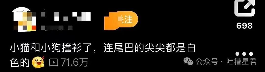 【爆笑】结婚四年老公还是忘不掉白月光…？网友：嫂子我不是挑事的人（组图） - 14
