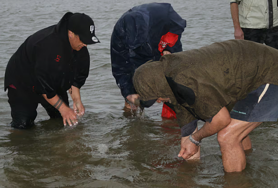 赶海圣地出现大批“毒海鲜”！华人：“几口下肚秒变喷射战士”，毛利大姐直接瘫痪.....（组图） - 6