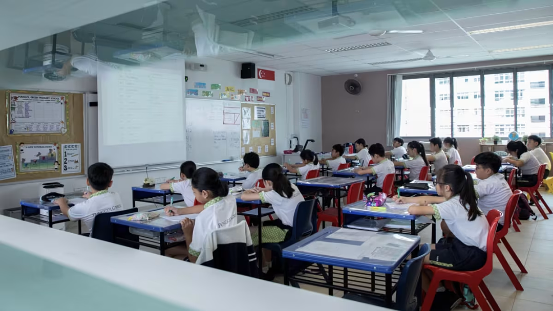 中国打工人曝光新加坡的“隐形歧视链”:华人≠自己人,除非你是PR…(组图) - 26