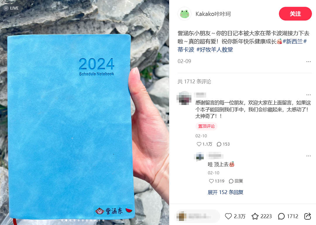 6岁中国女孩在新西兰一个疏忽，意外引发全网关注！女孩妈妈深圳回应（组图） - 8