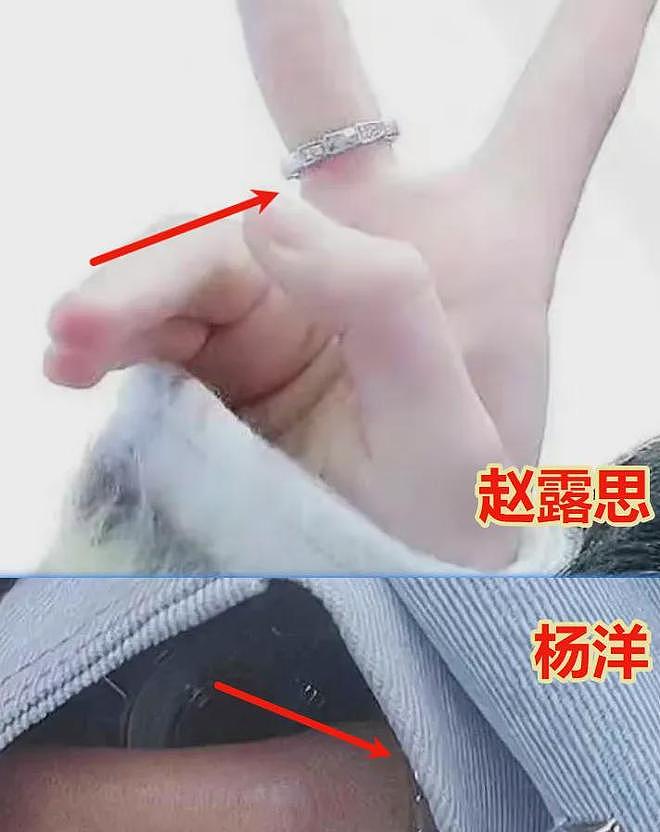 狗仔疑曝赵露思飞升内幕，受情伤后有贵人相助，杨洋再度被波及（组图） - 5