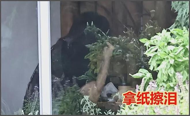 大S雕像迟迟没落成,言承旭只能到墓园祭拜,当场落泪吃饭都在哭(组图) - 16