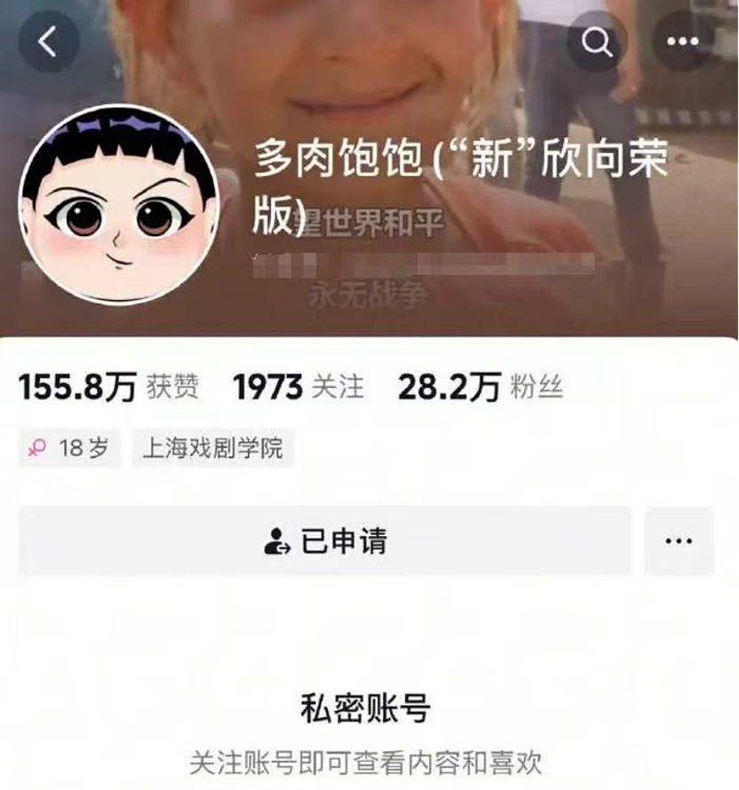 网红“多肉饱饱”涉嫌诈骗:身份是自己给的,资产都是编的(组图) - 10