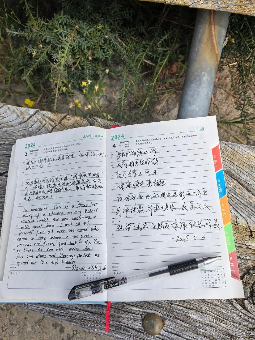 6岁中国女孩在新西兰一个疏忽，意外引发全网关注！女孩妈妈深圳回应（组图） - 6