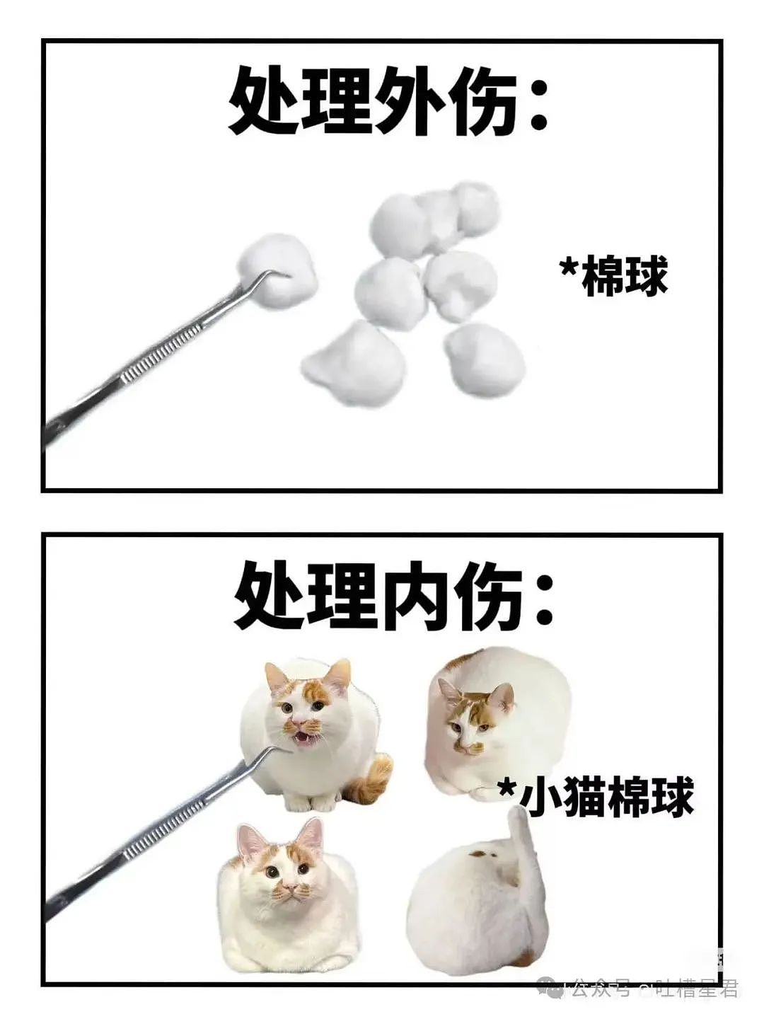 【爆笑】结婚四年老公还是忘不掉白月光…？网友：嫂子我不是挑事的人（组图） - 44