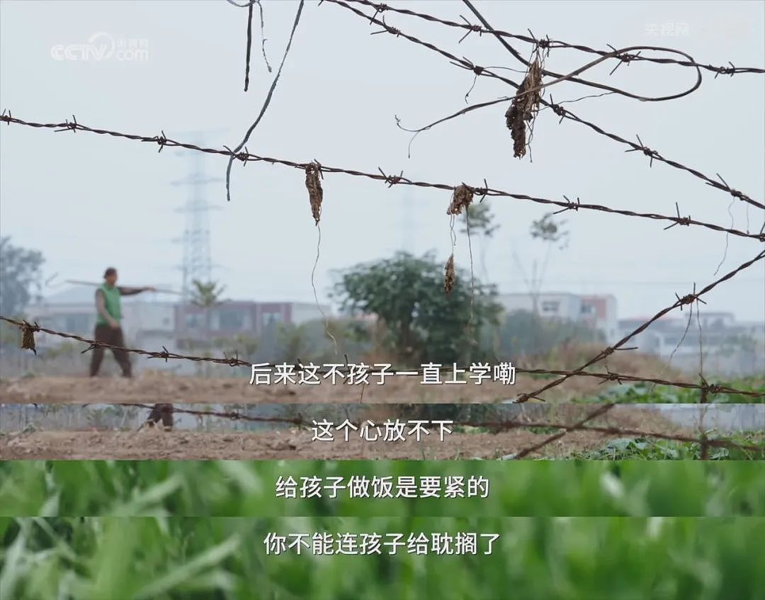 曾是人间尤物，穷到差点被卖，出道拍风月片，高嫁豪门却拒绝生娃！59岁的她，凭啥这么任性？（组图） - 23