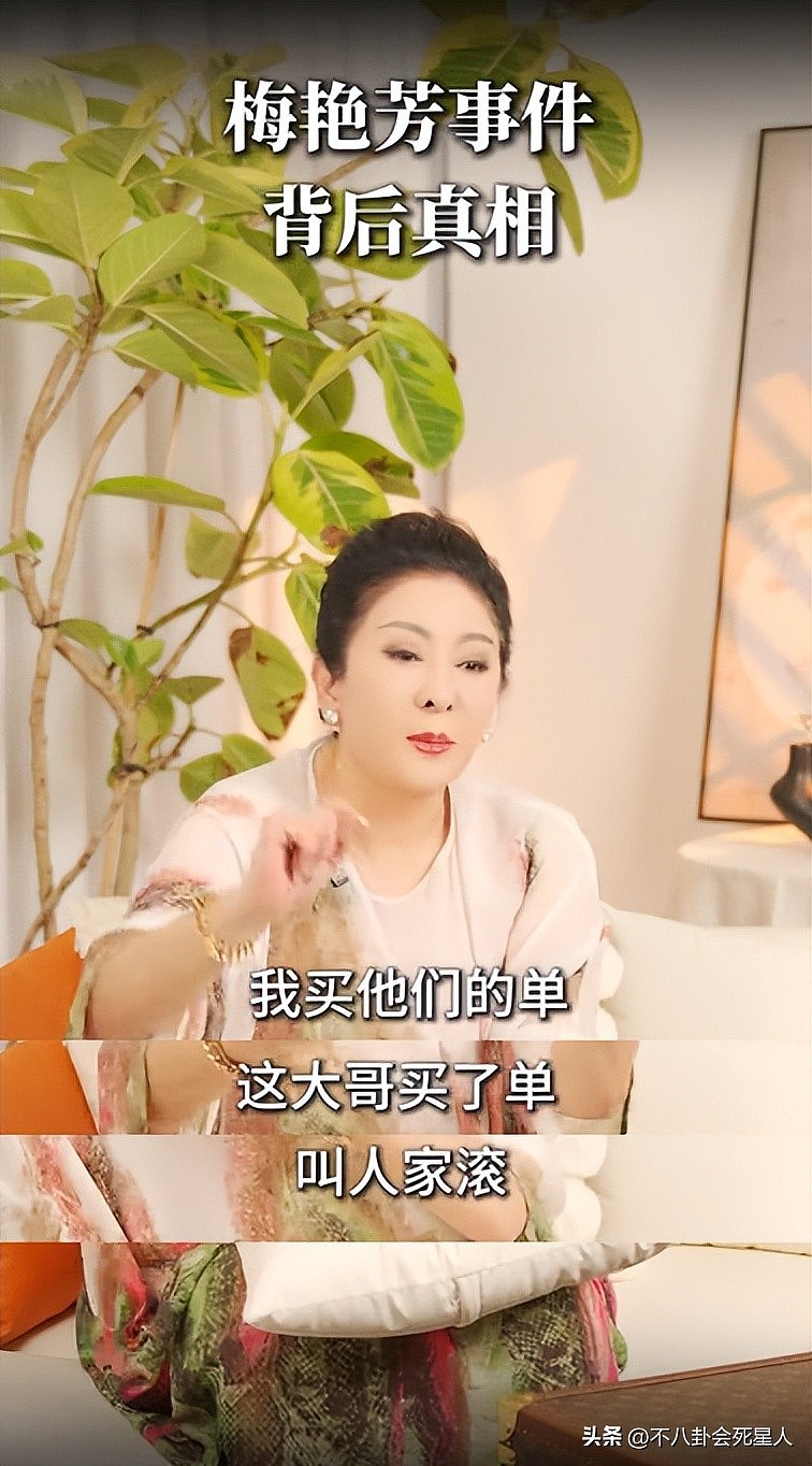 向太首次公布梅艳芳惹怒黑帮细节，梅艳芳吓哭求救，陈岚被枪指头（组图） - 5