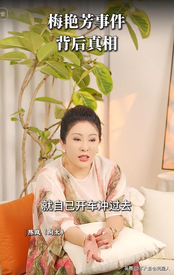 向太首次公布梅艳芳惹怒黑帮细节，梅艳芳吓哭求救，陈岚被枪指头（组图） - 18