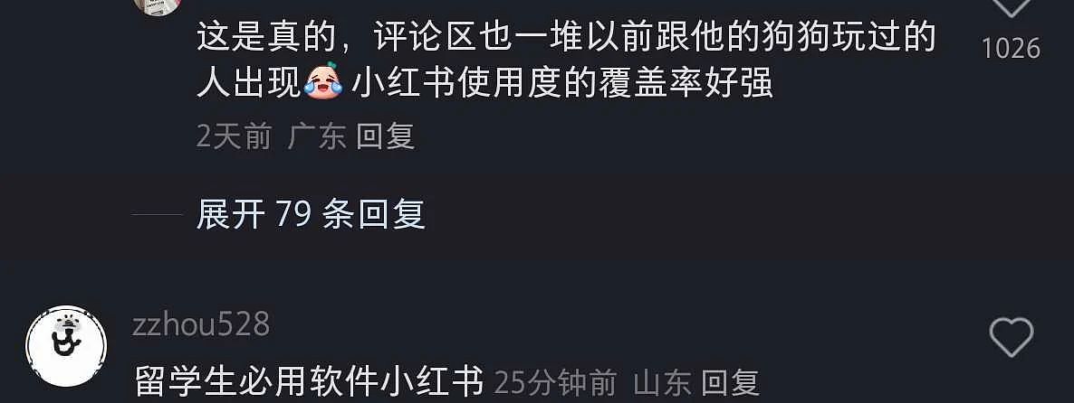 最新细节曝光！墨华人区双命案，杀手曾被大量华人偶遇：“狗狗好乖”（组图） - 5