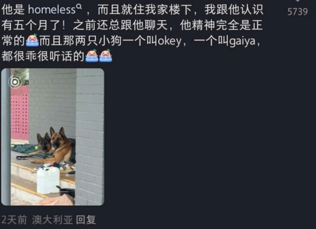 最新细节曝光！墨华人区双命案，杀手曾被大量华人偶遇：“狗狗好乖”（组图） - 4