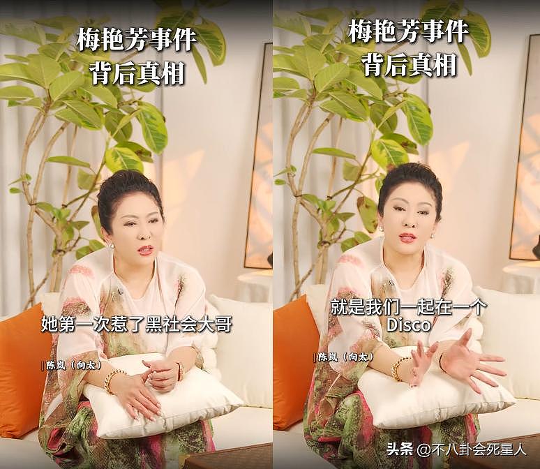 向太首次公布梅艳芳惹怒黑帮细节，梅艳芳吓哭求救，陈岚被枪指头（组图） - 2