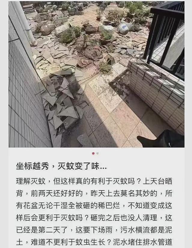 关于佛山逐渐北方化这事,又有新的细节了(组图) - 6