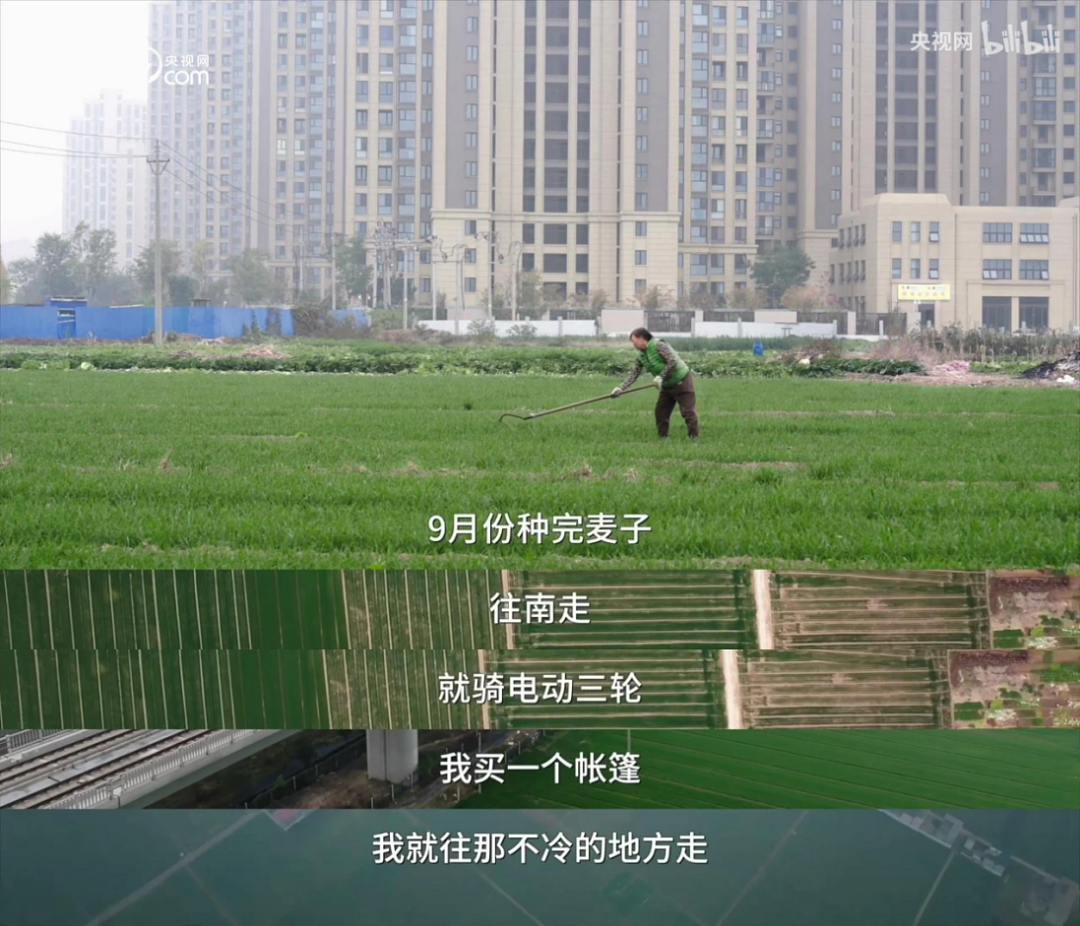 曾是人间尤物，穷到差点被卖，出道拍风月片，高嫁豪门却拒绝生娃！59岁的她，凭啥这么任性？（组图） - 20