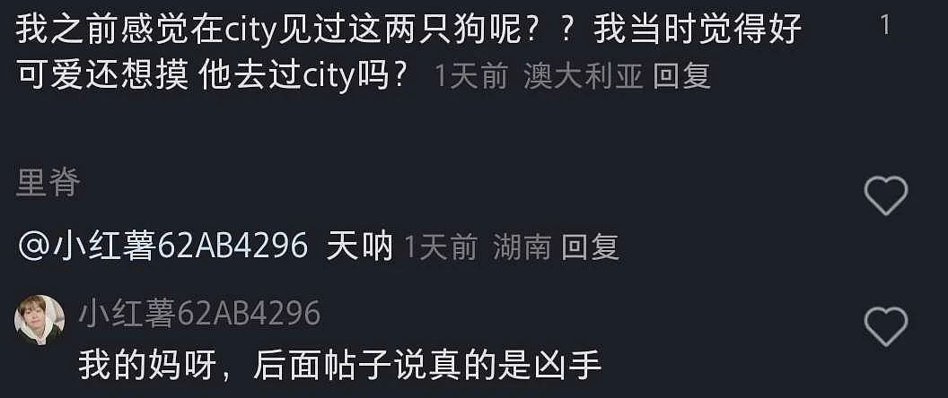最新细节曝光！墨华人区双命案，杀手曾被大量华人偶遇：“狗狗好乖”（组图） - 10