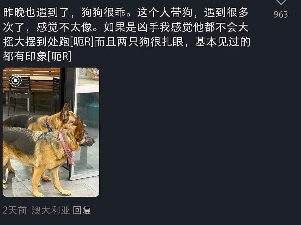 最新细节曝光！墨华人区双命案，杀手曾被大量华人偶遇：“狗狗好乖”（组图） - 11