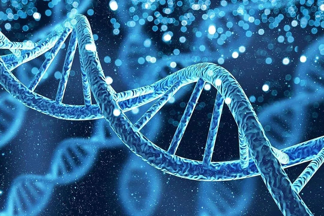 震惊！富豪砸钱定制“完美婴儿”，智商、颜值、健康全可“私人订制”！马斯克等科技大佬争相尝试！伦理争议全网炸锅（组图） - 2