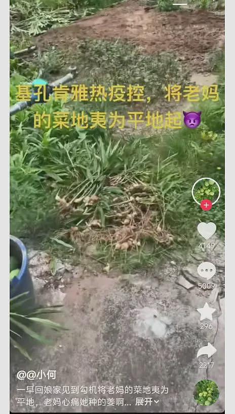 关于佛山逐渐北方化这事,又有新的细节了(组图) - 9