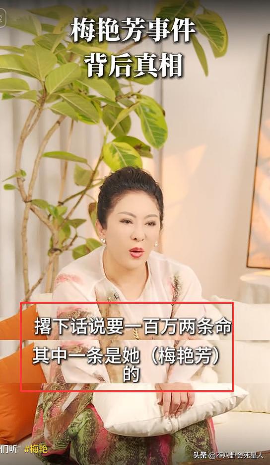 向太首次公布梅艳芳惹怒黑帮细节，梅艳芳吓哭求救，陈岚被枪指头（组图） - 14