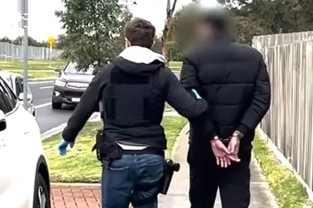 澳洲警方抓捕大批留学生！超市疯狂洗劫奶粉后在黑市出售，赃物堆积如山！涉案金额超$1000万（组图） - 5