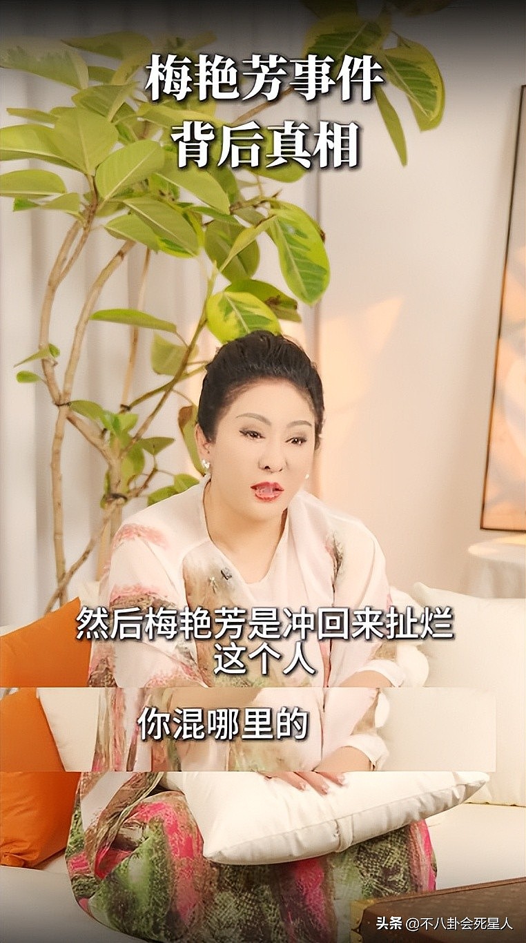 向太首次公布梅艳芳惹怒黑帮细节，梅艳芳吓哭求救，陈岚被枪指头（组图） - 10