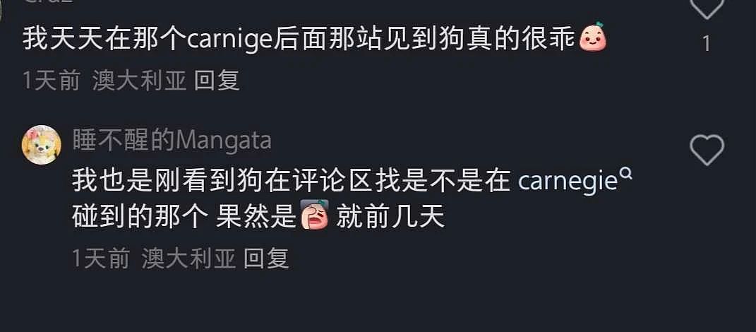 最新细节曝光！墨华人区双命案，杀手曾被大量华人偶遇：“狗狗好乖”（组图） - 9