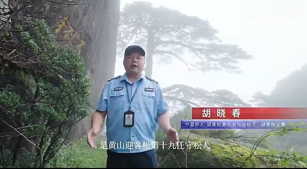 黄山迎客松是假树？第19代守松人验明正身（组图） - 1