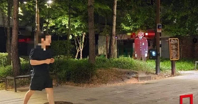 韩国警方用高科技稻草人防犯罪！这要死的画风，居然真的管用啊…（组图） - 8