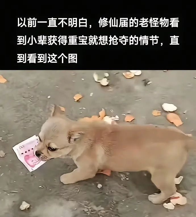 【爆笑】一听到有人结婚或宣布备孕怀孕，脑子里就会开始脑补，这正常吗？真相难以接受...（组图） - 13