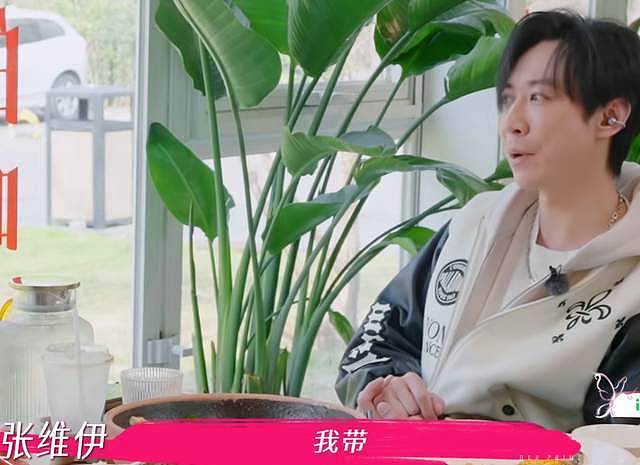 张维伊口碑崩盘！催生董璇全网评论区沦陷，本人被骂到破防删评（组图） - 8