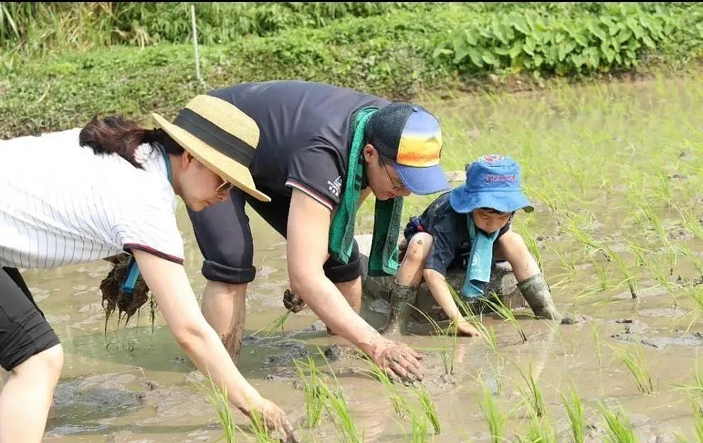 豪门内斗争70亿!亲兄弟为钱闹上法庭,低调夫妇连夜搬出祖宅,今到底鹿死谁手?(组图) - 36