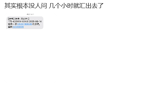 跨境汇款新规！海外华人注意，超$1000将被中银等三部门核实身份，第三方机构也得查（组图） - 4