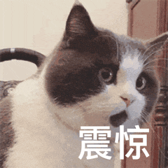 离谱至极！19岁中国留学生冒充美国公民投票，被判重罪护照被扣仍神秘回国？（组图） - 7