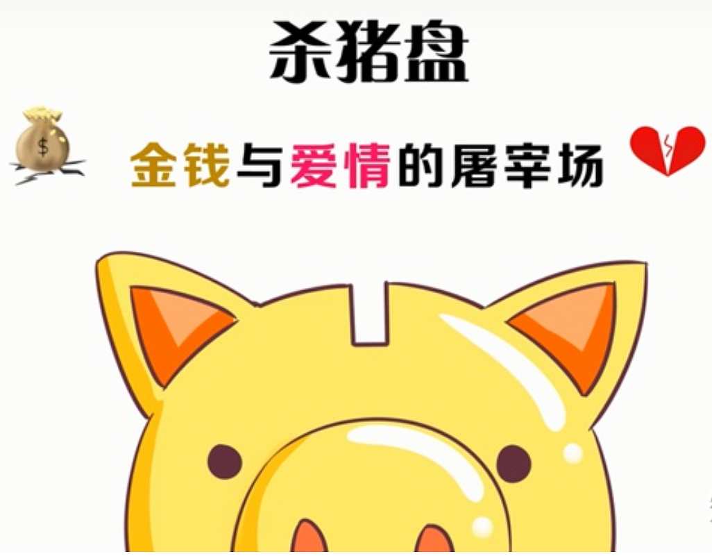 倾家荡产!华人老科学家深陷财经美女杀猪盘,250万美元毕生积蓄被骗光(组图) - 11
