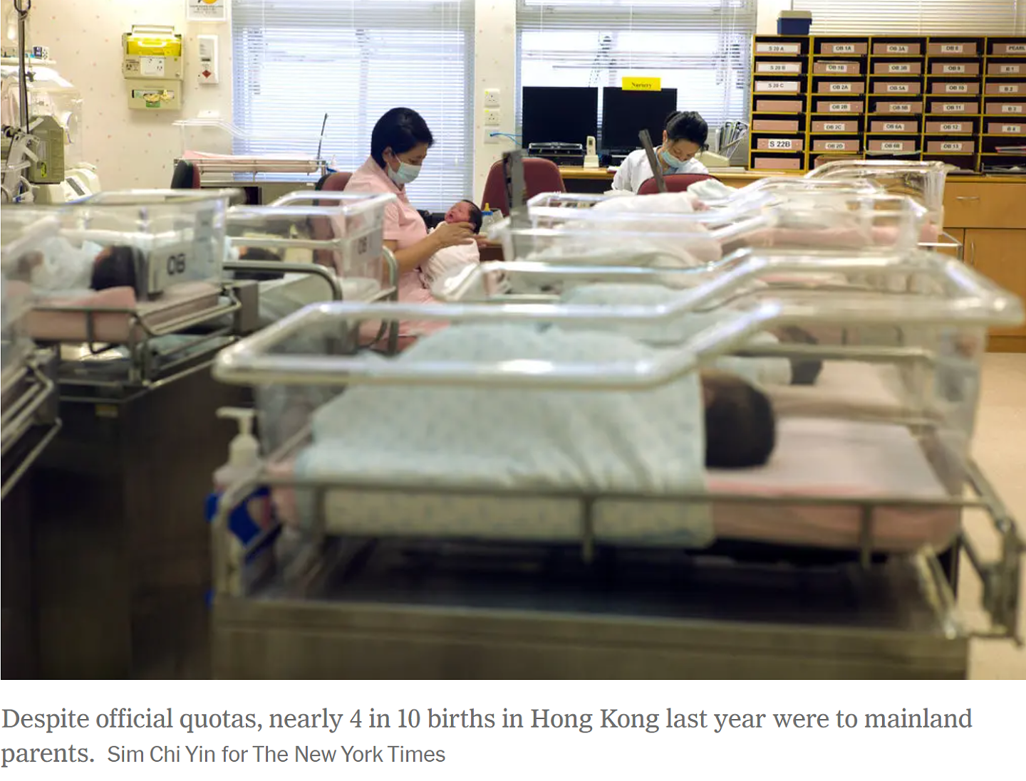 深港教育大变天:为娃扎堆赴港,是机遇敲门?还是跳进伪风口(组图) - 3
