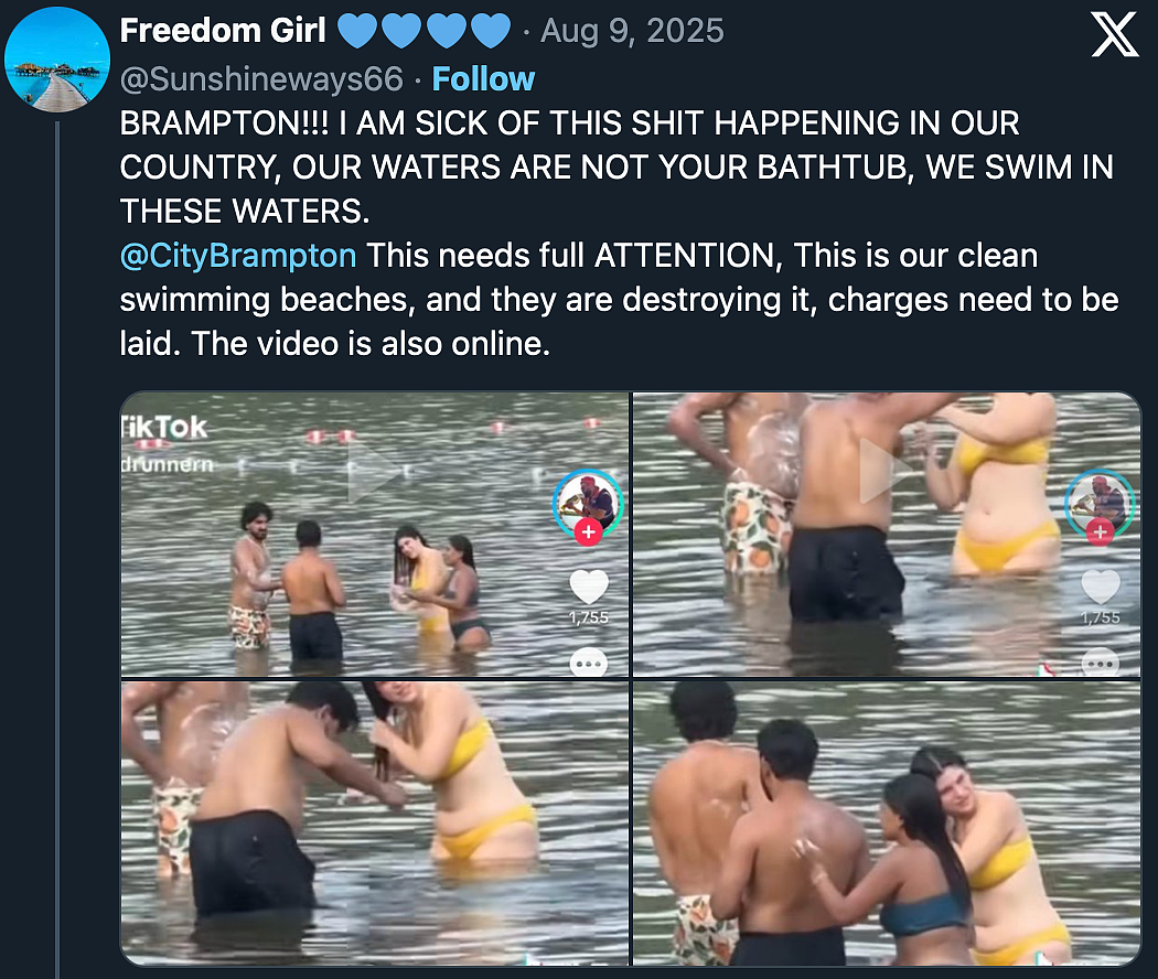 几名印度裔移民跳进加拿大湖泊搓澡嬉戏,被加拿大网友骂惨了…(组图) - 6