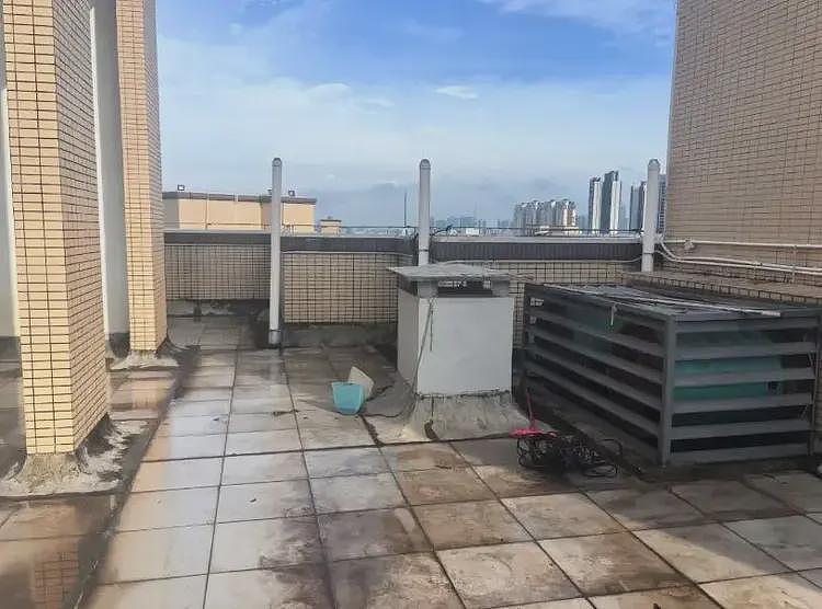 破门灭蚊、清理花盘…广东基孔肯雅热病毒蔓延,官方过度防疫引发热议!网友:熟悉的感觉又回来了(视频/组图) - 2
