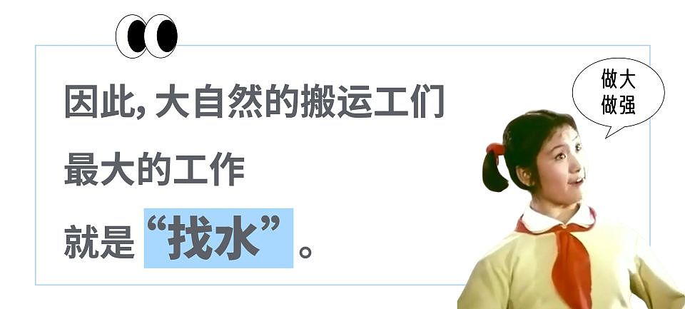 全世界最好的矿泉水只卖1块5?“出了吉林遍地假货”的“东北神水”,最近吊打巴黎水(组图) - 12