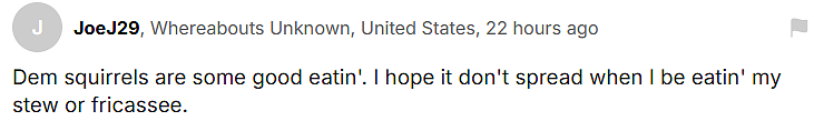 继美国僵尸兔后，僵尸松鼠也出现了，浑身长包一碰就爆浆！群众：这是征兆！专家：千万别碰（组图） - 17