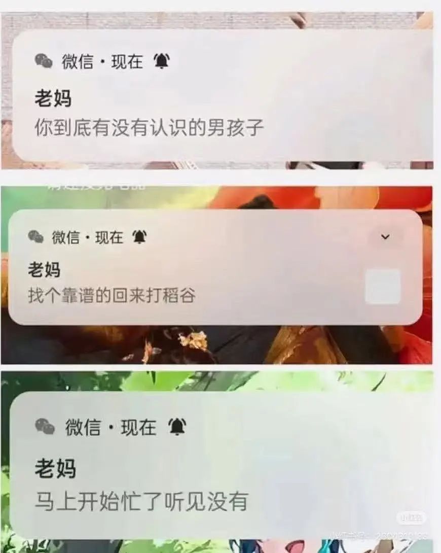 【爆笑】“女朋友很拜金怎么谈恋爱…？”啊啊啊往哪边拜可以避开你（组图） - 55