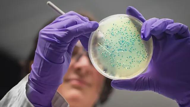 AI设计用于抗生素研究,治疗淋病和金黄色葡萄球菌超级细菌(组图) - 1