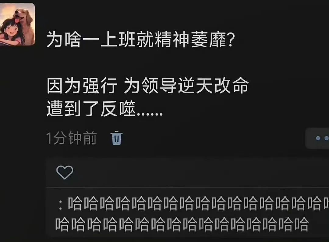 【爆笑】“上班把领导当狗养后...... “ 哈哈哈哈哈哈哈很超前的精神状态（组图） - 71