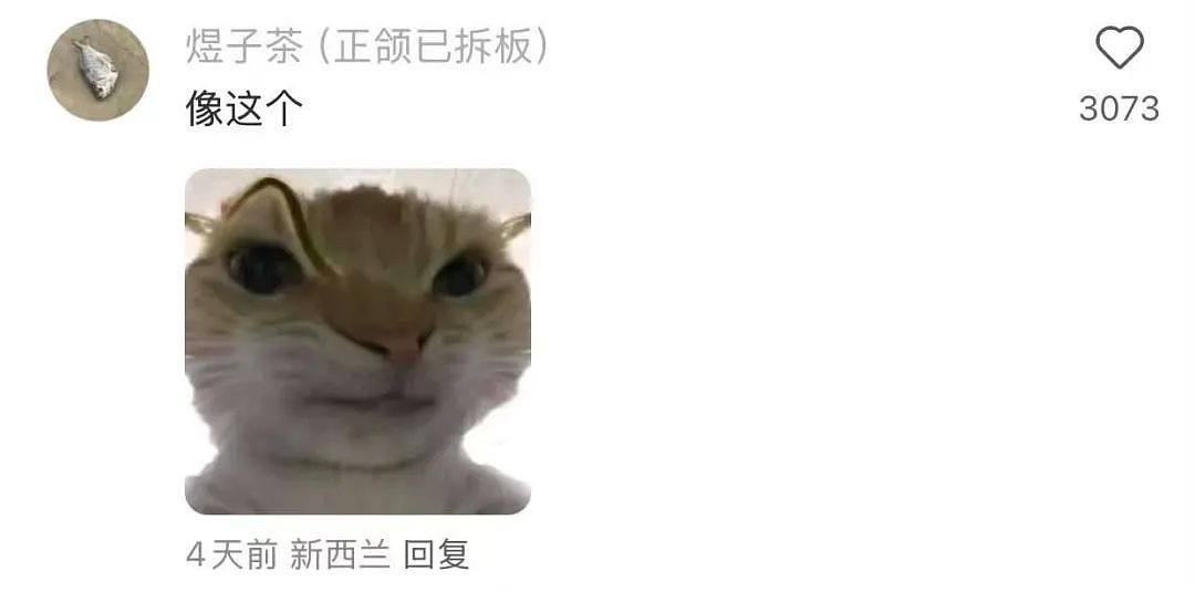【爆笑】“上班把领导当狗养后...... “ 哈哈哈哈哈哈哈很超前的精神状态（组图） - 75