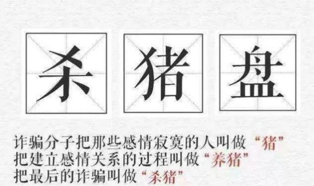 倾家荡产！华人老科学家深陷财经美女杀猪盘，$250万毕生积蓄被骗光（组图） - 7