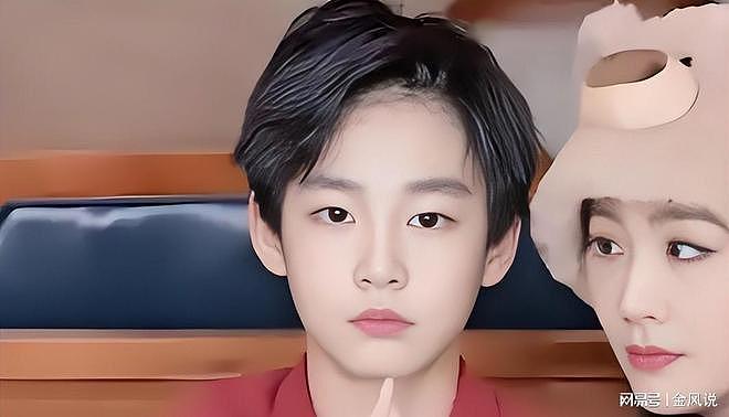 曹颖的儿子、董洁的儿子、孙俪的儿子，你觉得谁的颜值更胜一筹？（组图） - 22