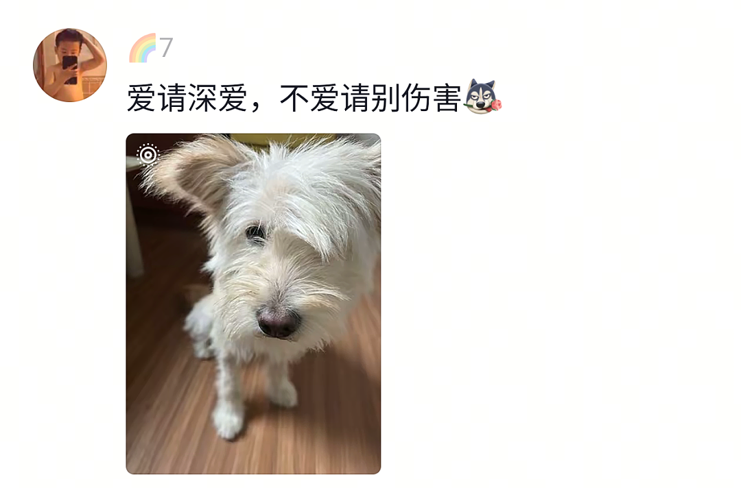 【宠物】狗子试图叫醒主人,又怕铲屎官有起床气,干脆换了个新方式(组图) - 27