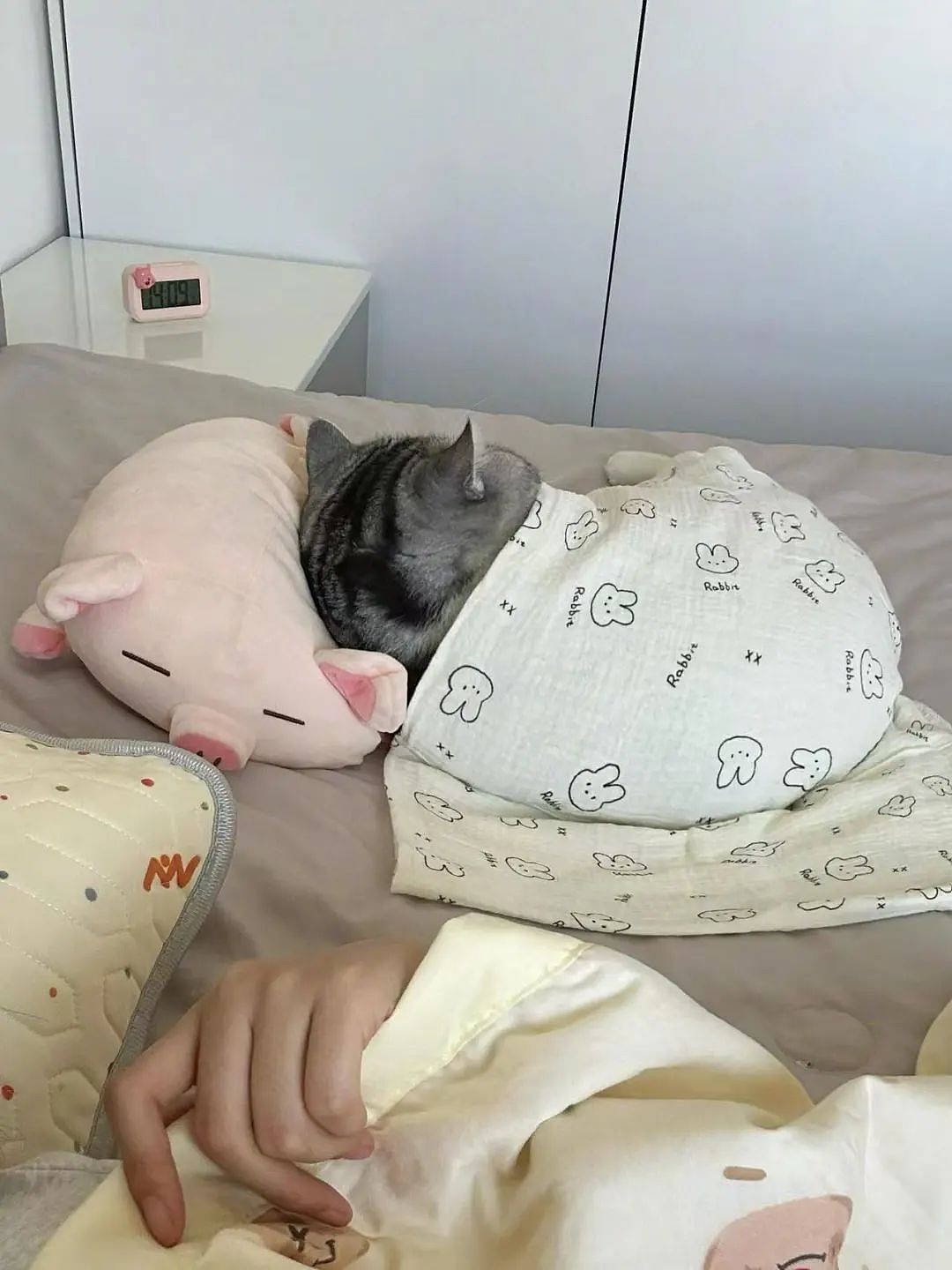 【爆笑】“上班把领导当狗养后...... “ 哈哈哈哈哈哈哈很超前的精神状态（组图） - 98