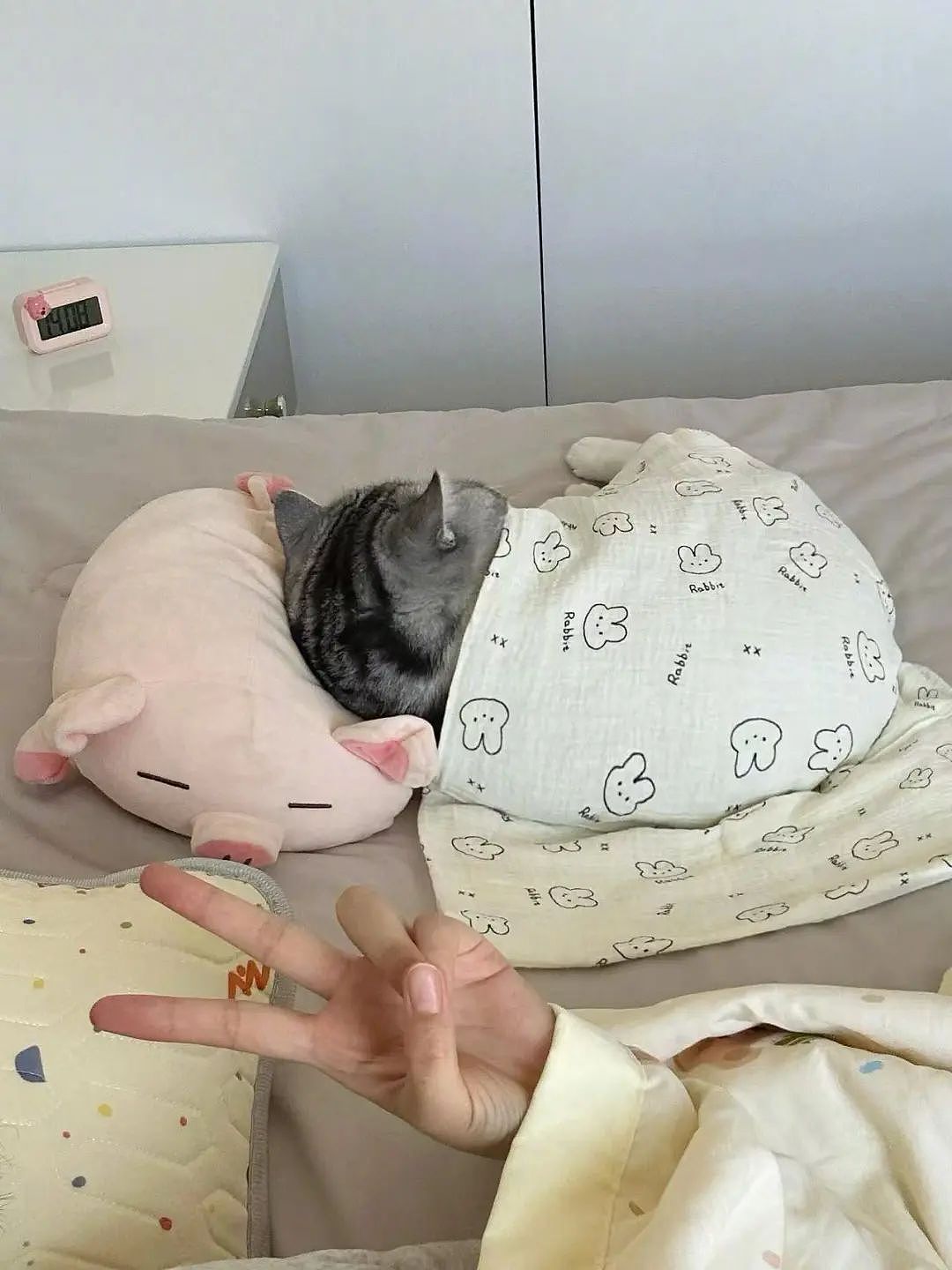 【爆笑】“上班把领导当狗养后...... “ 哈哈哈哈哈哈哈很超前的精神状态（组图） - 99