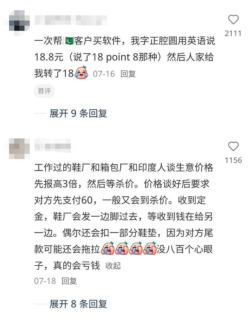 新西兰华人晒印度签证：我要去印度开公司了（组图） - 23
