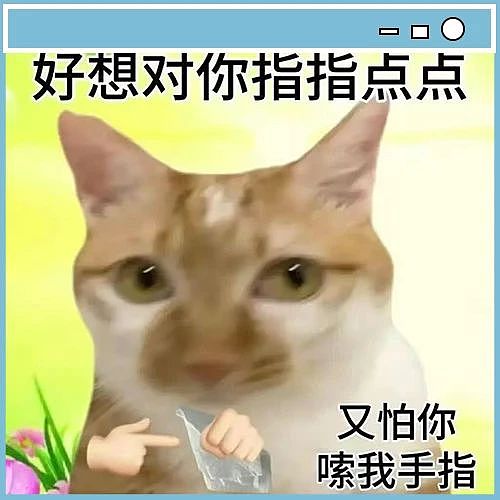 【爆笑】“女朋友很拜金怎么谈恋爱…？”啊啊啊往哪边拜可以避开你（组图） - 92
